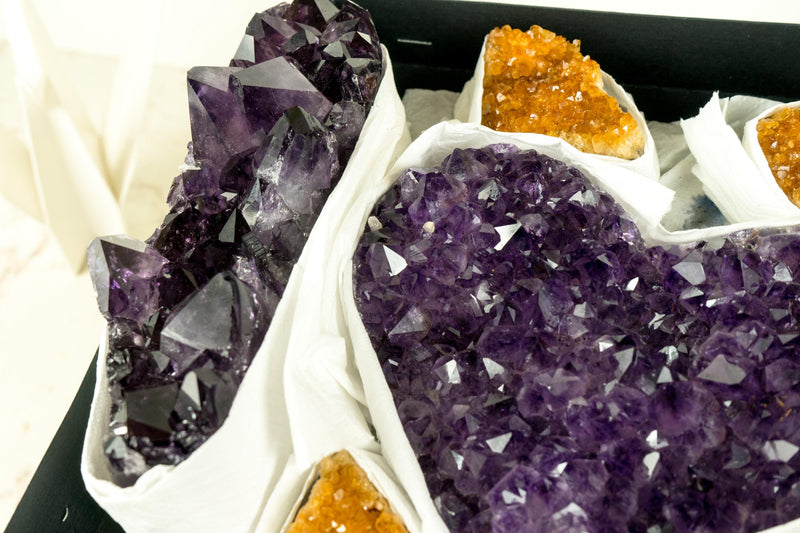 AAA - Grade, Mixed Amethyst and Citrine Mineral Flat Box - E2D Crystals & Minerals