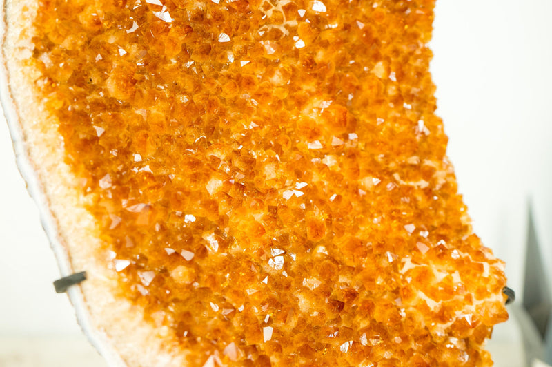 Orange Citrine Cluster with High - Grade, Sparkly Golden Orange Citrine Druzy on Stand - 13.2 In - 8.3 Lb - E2D Crystals & Minerals