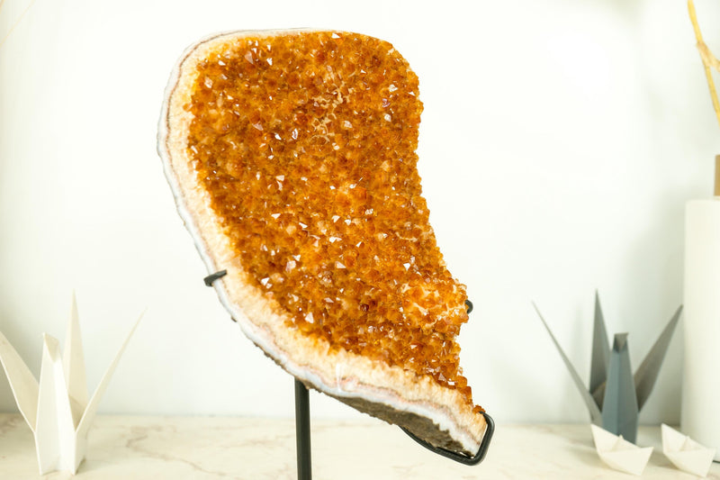 Orange Citrine Cluster with High - Grade, Sparkly Golden Orange Citrine Druzy on Stand - 13.2 In - 8.3 Lb - E2D Crystals & Minerals