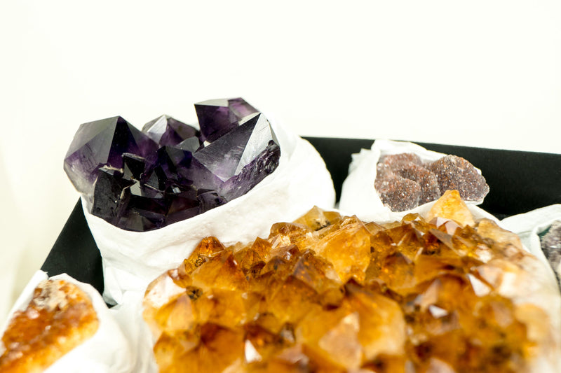 High - Quality, Mixed Amethyst and Citrine Mineral Flat Box, Rare Crystals - E2D Crystals & Minerals