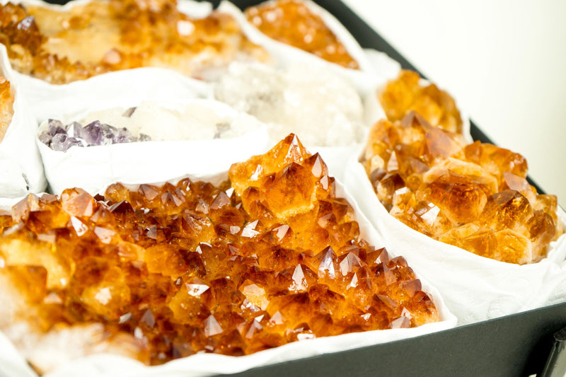 High - Quality, Mixed Citrine and Rare Mineral Flat Box, AAA - Grade Only Crystals - E2D Crystals & Minerals