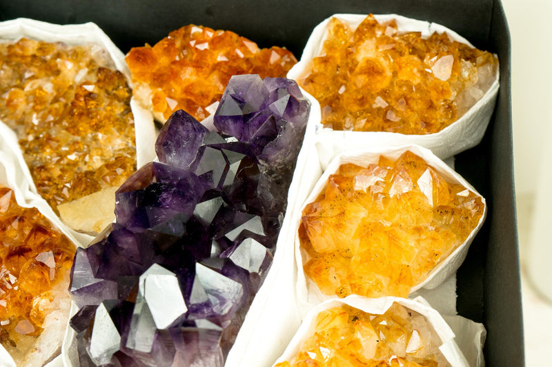 Wholesale Mixed Amethyst & Citrine Crystals, AAA - Grade Only - E2D Crystals & Minerals