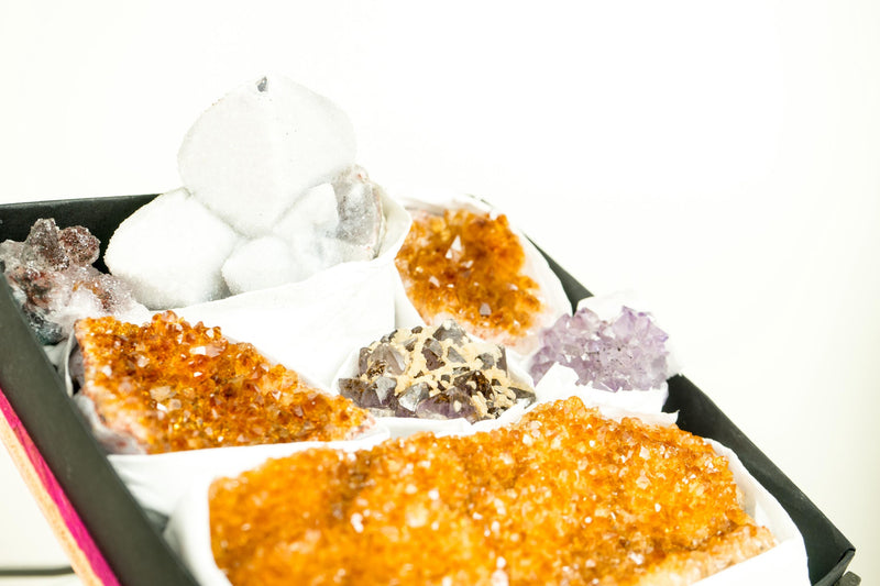 Wholesale Mixed Rare Amethyst and Citrine Crystal Clusters, High-Grade Only