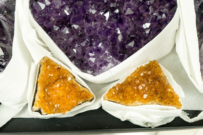 AAA - Grade, Mixed Amethyst and Citrine Mineral Flat Box - E2D Crystals & Minerals