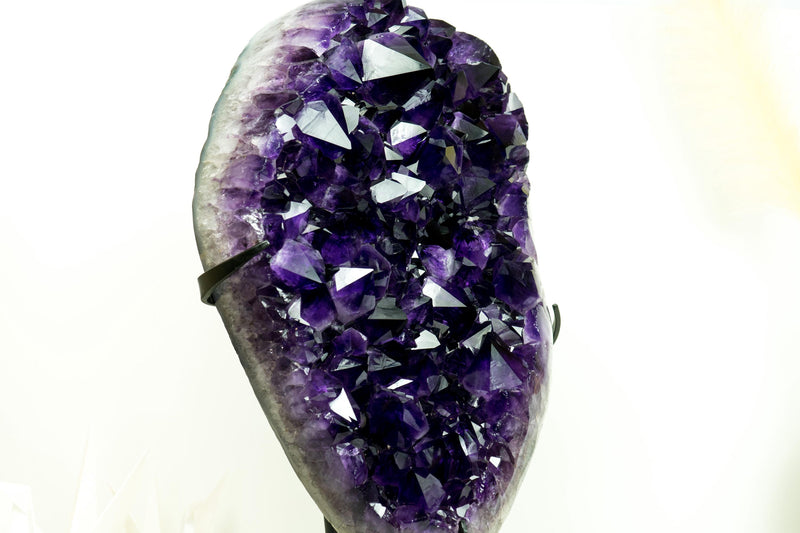 AAA Amethyst Cluster with Large, Luxurious Grape Jelly Purple Druzy Points