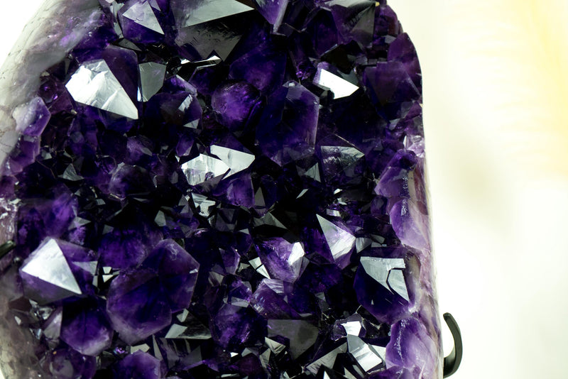 AAA Amethyst Cluster with Large, Luxurious Grape Jelly Purple Druzy Points