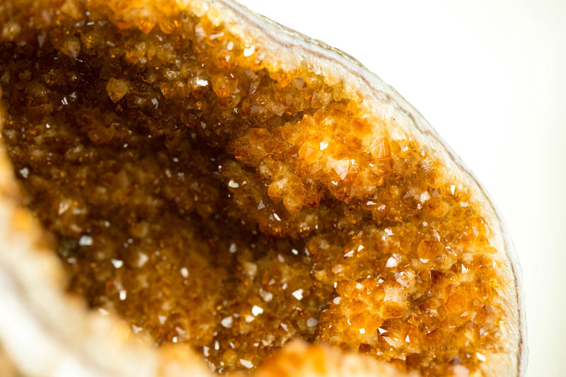 All - Natural Citrine Geode Cave with Golden - Orange Druzy and Citrine Flower Rosettes - E2D Crystals & Minerals