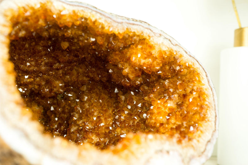 All - Natural Citrine Geode Cave with Golden - Orange Druzy and Citrine Flower Rosettes - E2D Crystals & Minerals