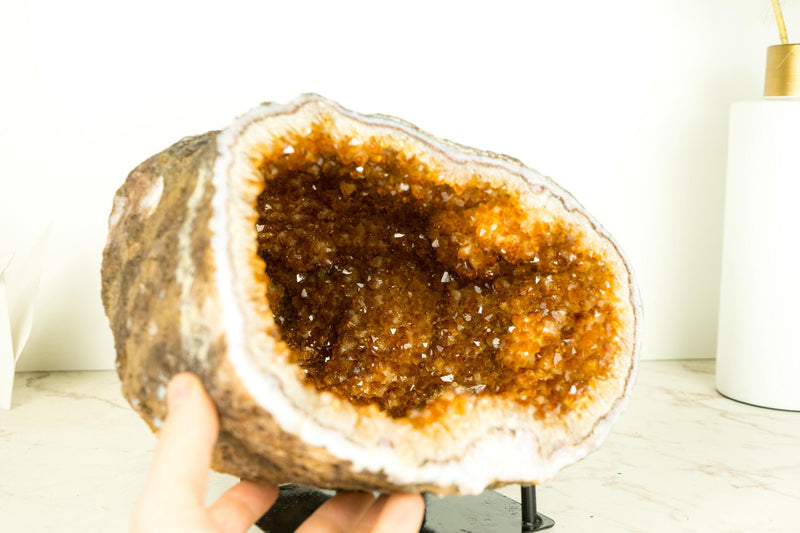 All - Natural Citrine Geode Cave with Golden - Orange Druzy and Citrine Flower Rosettes - E2D Crystals & Minerals