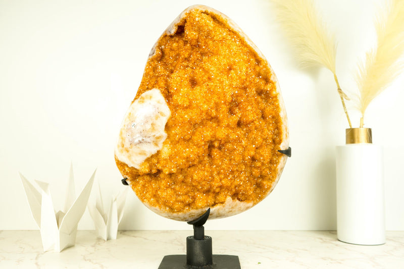 Rare Extra - Large Citrine Flower Cluster with Sparkling Golden - Orange Druzy - E2D Crystals & Minerals