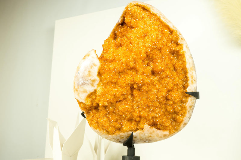 Rare Extra - Large Citrine Flower Cluster with Sparkling Golden - Orange Druzy - E2D Crystals & Minerals