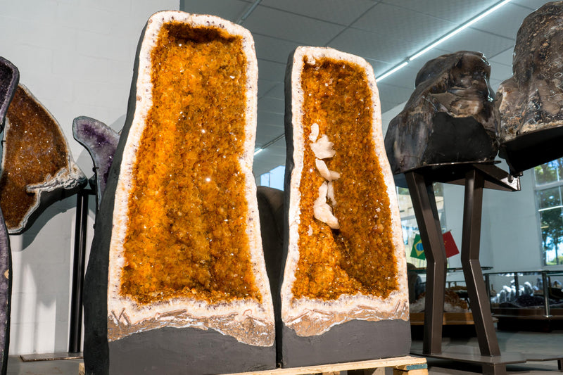 Pair of X - Large 3.6 Ft Citrine Geodes with Golden Orange Druzy & Calcite Inclusions - E2D Crystals & Minerals