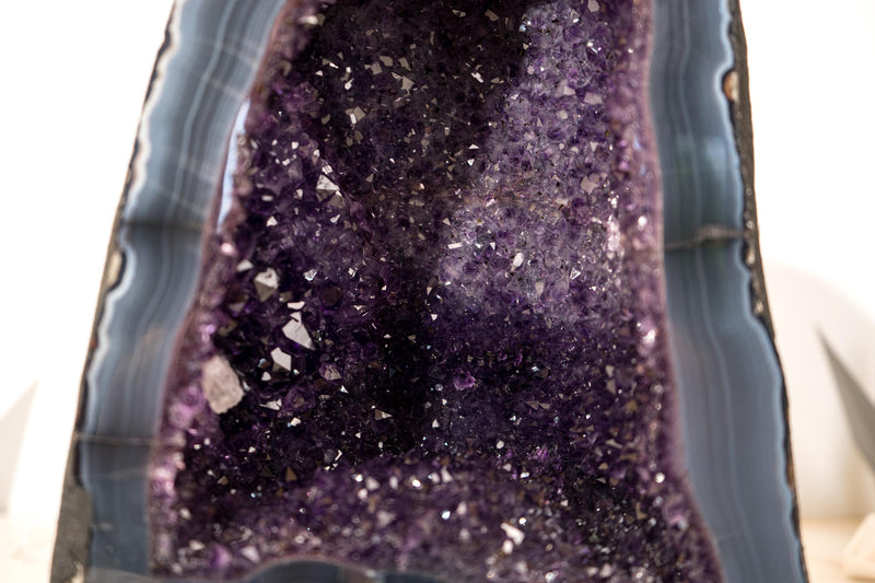 AAA - Grade Deep Purple Amethyst Geode on Intact Blue Lace Agate Lace Matrix - Energetic, High - End Crystal - 13 Kg - 29 lb - E2D Crystals & Minerals