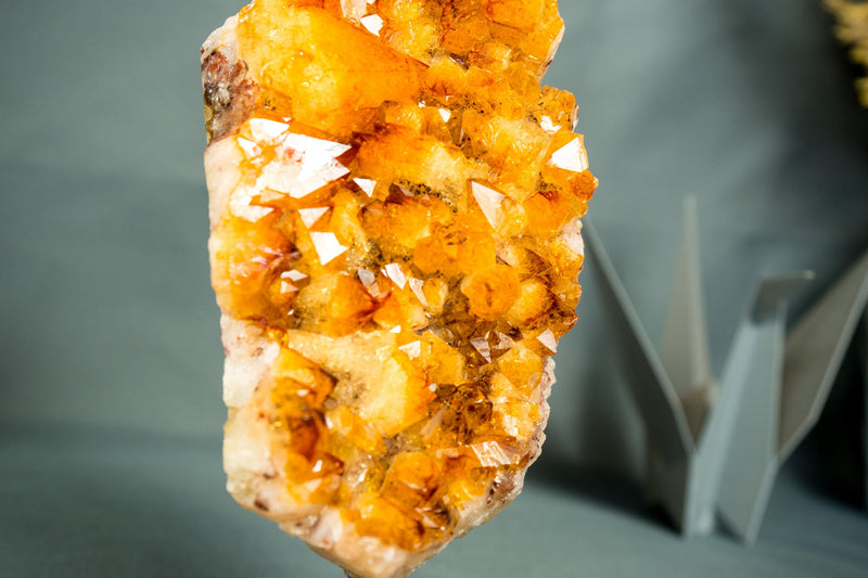 Small High - Grade Natural Citrine Cluster with Vibrant Golden - Orange Druzy on a Stand - 7.5 In - 2.5 Lb - E2D Crystals & Minerals