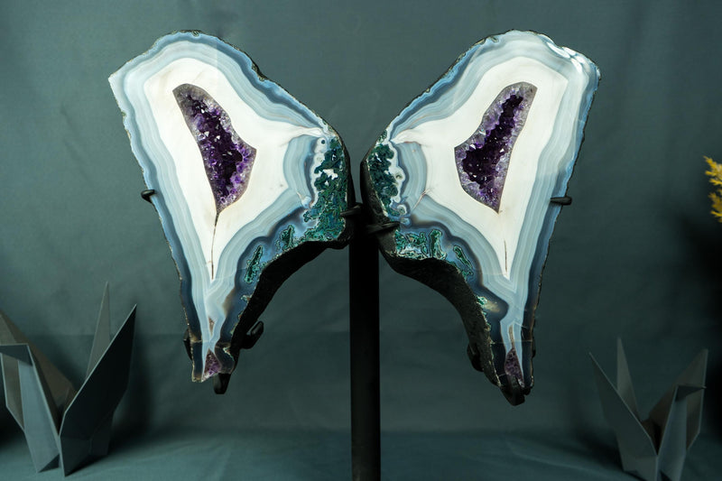 Collection - Grade Lace Agate Wings Geode with Rare Blue and White Agate Laces and Rich Purple Amethyst Crystals 7.6 Kg - 16.8 lb, - E2D Crystals & Minerals