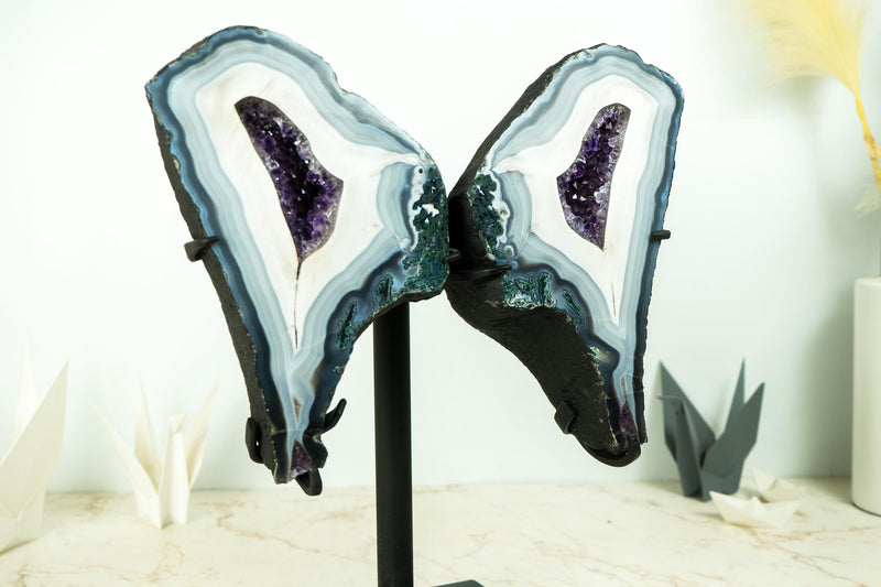 Collection - Grade Lace Agate Wings Geode with Rare Blue and White Agate Laces and Rich Purple Amethyst Crystals 7.6 Kg - 16.8 lb, - E2D Crystals & Minerals