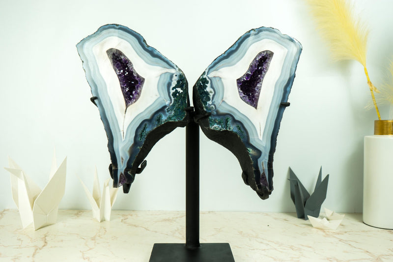 Collection - Grade Lace Agate Wings Geode with Rare Blue and White Agate Laces and Rich Purple Amethyst Crystals 7.6 Kg - 16.8 lb, - E2D Crystals & Minerals