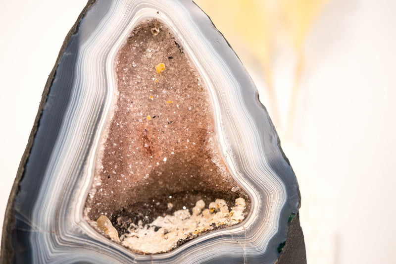 Blue & White Lace Agate Geode with Delicate Striped Pattern and Galaxy Druzy - E2D Crystals & Minerals