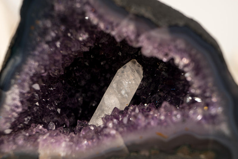 Kleine dunkelviolette Amethyst-Geode mit Kalzit-Einschluss – 4 Pfund