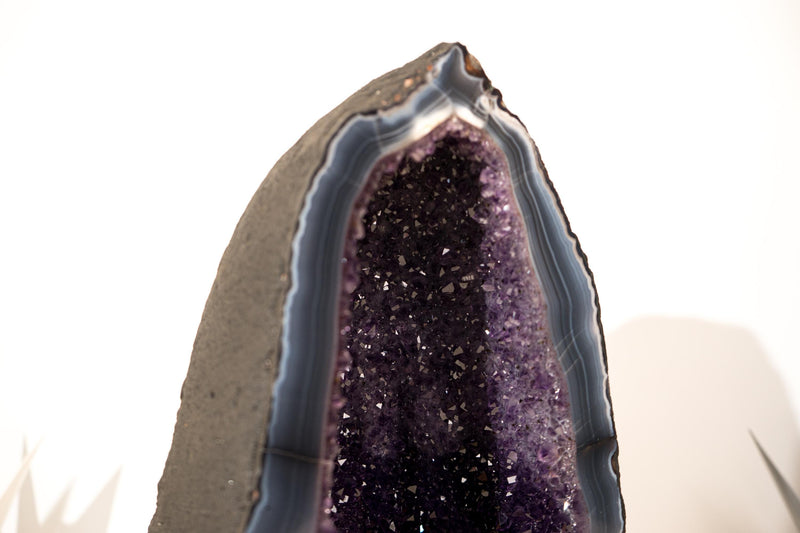 Collector - Grade Deep Purple Amethyst Geode on Intact Blue Lace Agate Lace Matrix - Energetic, High - End Crystal - 14 Kg - 32lb - E2D Crystals & Minerals