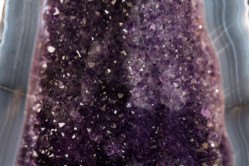 Collector - Grade Deep Purple Amethyst Geode on Intact Blue Lace Agate Lace Matrix - Energetic, High - End Crystal - 14 Kg - 32lb - E2D Crystals & Minerals