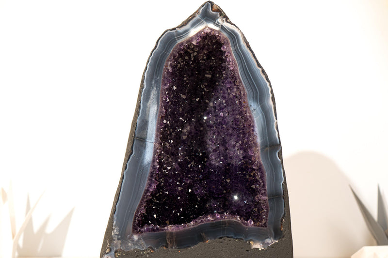 Collector - Grade Deep Purple Amethyst Geode on Intact Blue Lace Agate Lace Matrix - Energetic, High - End Crystal - 14 Kg - 32lb - E2D Crystals & Minerals