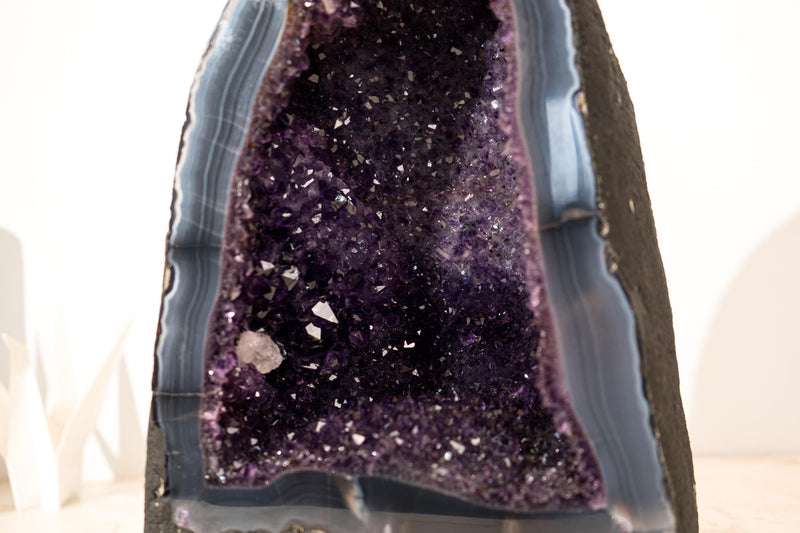 AAA - Grade Deep Purple Amethyst Geode on Intact Blue Lace Agate Lace Matrix - Energetic, High - End Crystal - 13 Kg - 29 lb - E2D Crystals & Minerals