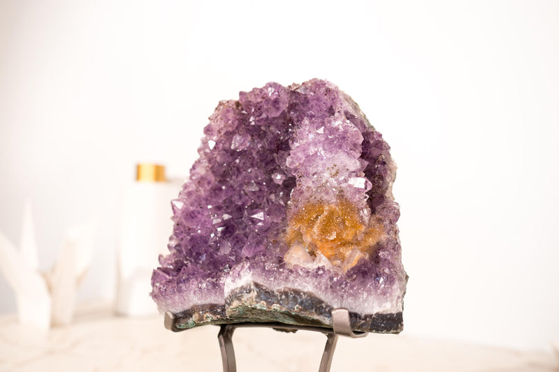 Amethyst-Cluster mit seltenem Blumenteller aus Amethyst und goldenem Goethit