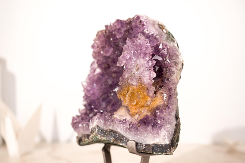 Amethyst-Cluster mit seltenem Blumenteller aus Amethyst und goldenem Goethit