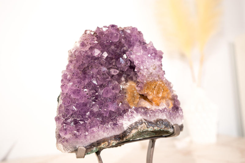 Amethyst-Cluster mit seltenem Blumenteller aus Amethyst und goldenem Goethit