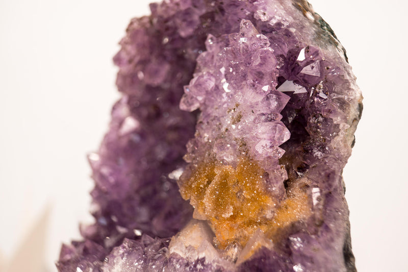 Amethyst-Cluster mit seltenem Blumenteller aus Amethyst und goldenem Goethit