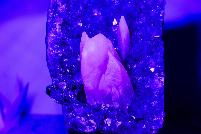 Rare Pink UV - Reactive Calcite on Lavender Purple Amethyst Cluster - E2D Crystals & Minerals