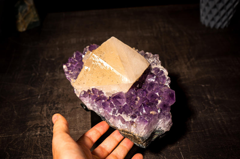 Collection - Grade "Truly Cubic" Large Calcite on Amethyst Cluster - E2D Crystals & Minerals