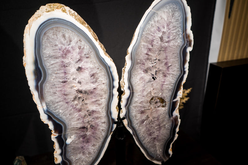 Large White & Blue Lace Agate Butterfly Wings Geode - E2D Crystals & Minerals