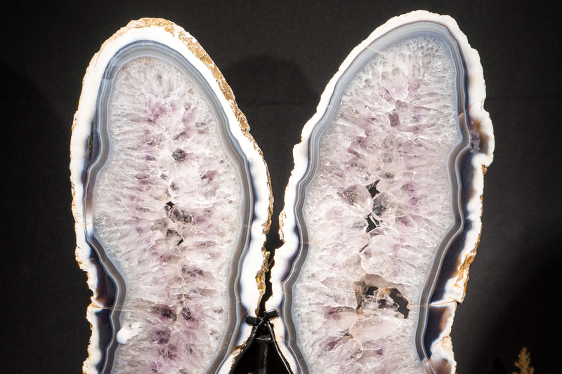 Large White & Blue Lace Agate Butterfly Wings Geode - E2D Crystals & Minerals