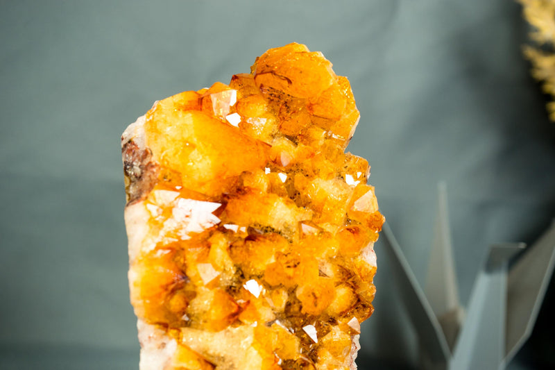 Small High - Grade Natural Citrine Cluster with Vibrant Golden - Orange Druzy on a Stand - 7.5 In - 2.5 Lb - E2D Crystals & Minerals