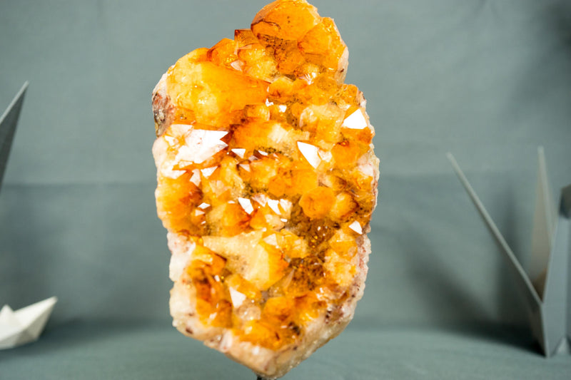 Small High - Grade Natural Citrine Cluster with Vibrant Golden - Orange Druzy on a Stand - 7.5 In - 2.5 Lb - E2D Crystals & Minerals