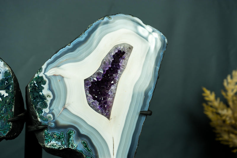 Collection - Grade Lace Agate Wings Geode with Rare Blue and White Agate Laces and Rich Purple Amethyst Crystals 7.6 Kg - 16.8 lb, - E2D Crystals & Minerals