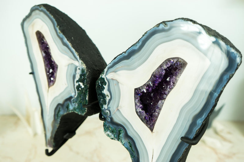 Collection - Grade Lace Agate Wings Geode with Rare Blue and White Agate Laces and Rich Purple Amethyst Crystals 7.6 Kg - 16.8 lb, - E2D Crystals & Minerals