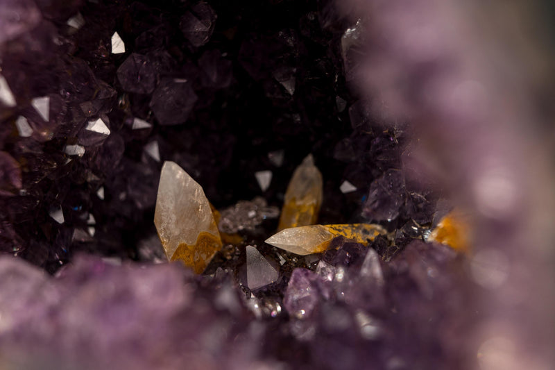 Amethyst Geode (10 Lb) with UV Reactive Honey Calcite - E2D Crystals & Minerals