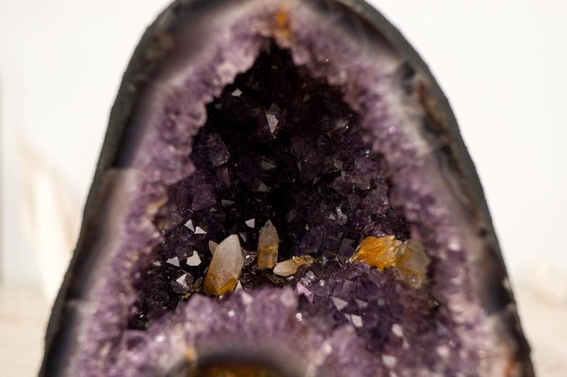 Amethyst Geode (10 Lb) with UV Reactive Honey Calcite - E2D Crystals & Minerals