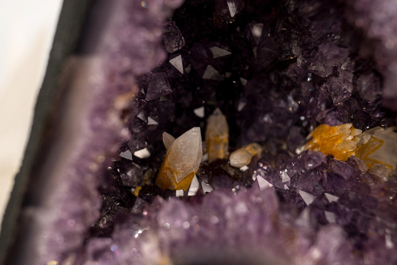 Amethyst Geode (10 Lb) with UV Reactive Honey Calcite - E2D Crystals & Minerals