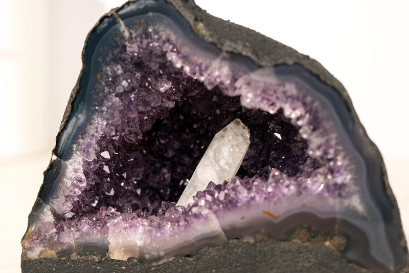 Kleine dunkelviolette Amethyst-Geode mit Kalzit-Einschluss – 4 Pfund