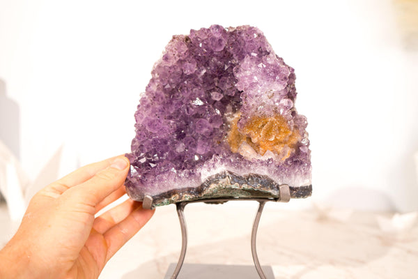 Amethyst-Cluster mit seltenem Blumenteller aus Amethyst und goldenem Goethit