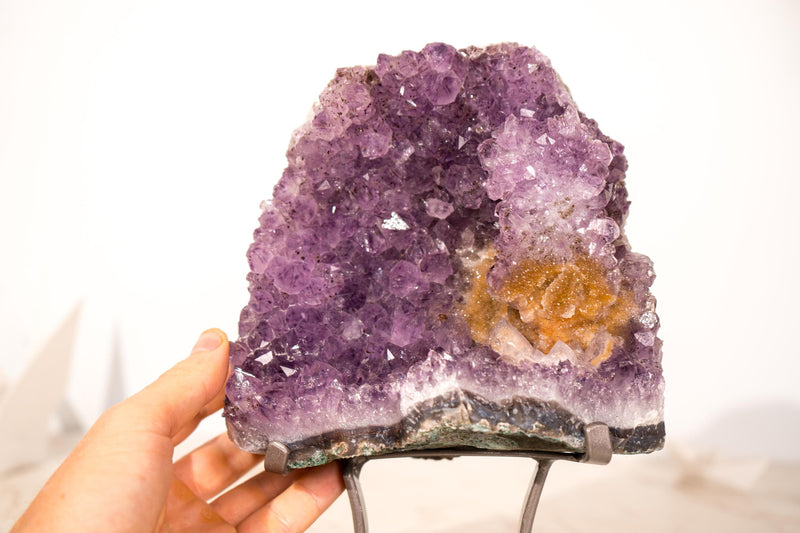 Amethyst-Cluster mit seltenem Blumenteller aus Amethyst und goldenem Goethit