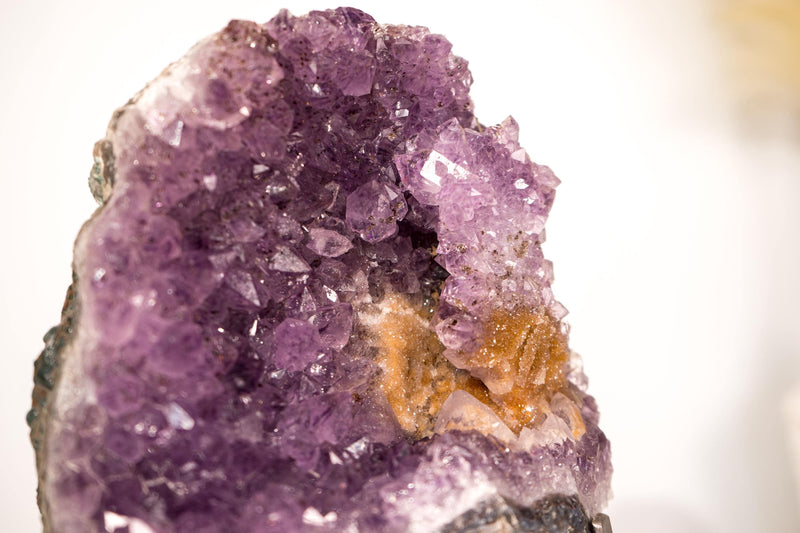 Amethyst-Cluster mit seltenem Blumenteller aus Amethyst und goldenem Goethit