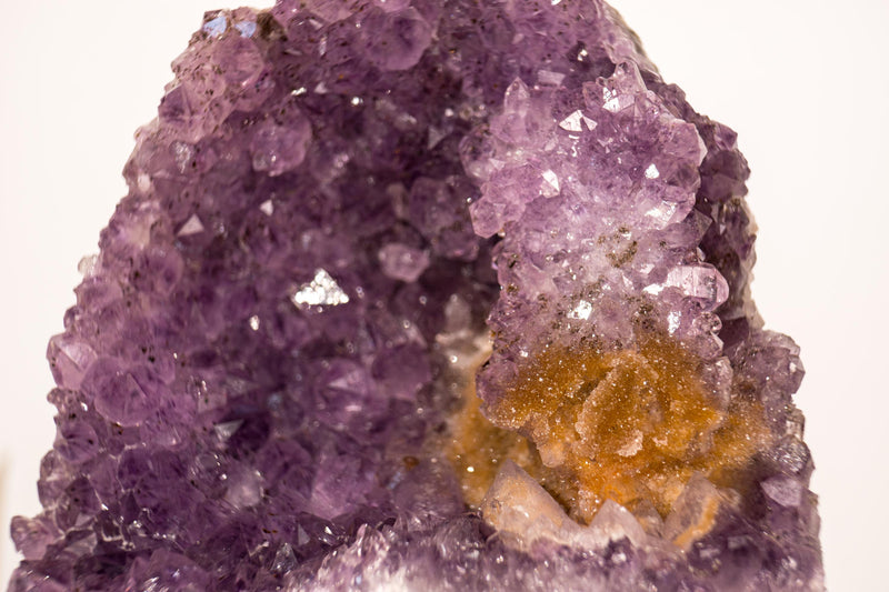 Amethyst-Cluster mit seltenem Blumenteller aus Amethyst und goldenem Goethit