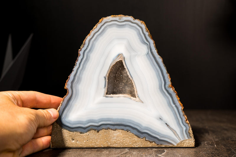 Rare Blue & White Lace Agate Geode with Galaxy Druzy Cave - E2D Crystals & Minerals