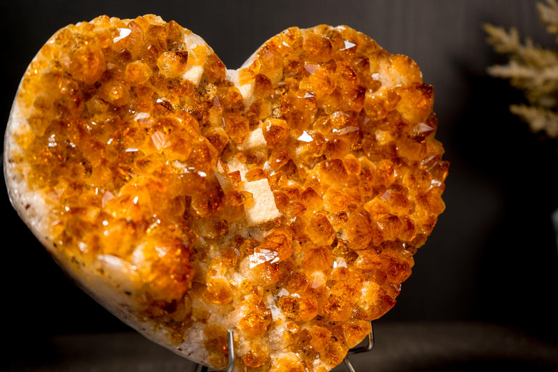 Natural Citrine Heart with a Flower Rosette and Brilliant Golden Orange Druzy - E2D Crystals & Minerals