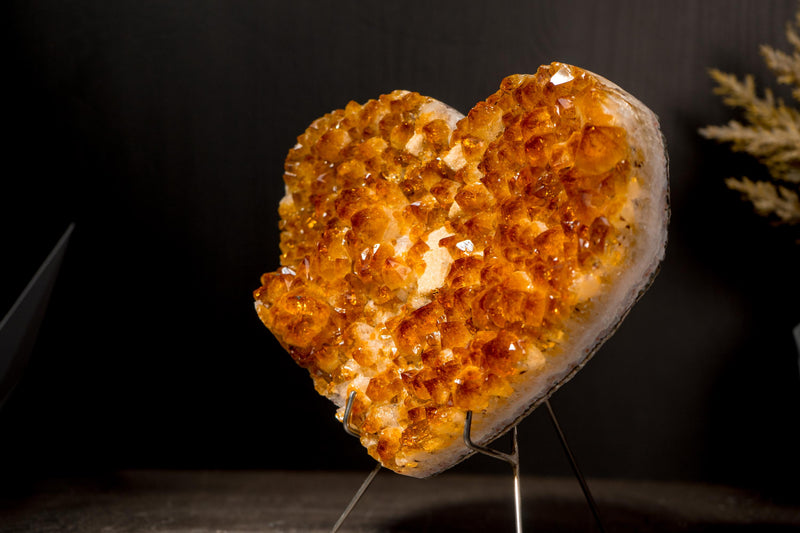 Natural Citrine Heart with a Flower Rosette and Brilliant Golden Orange Druzy - E2D Crystals & Minerals